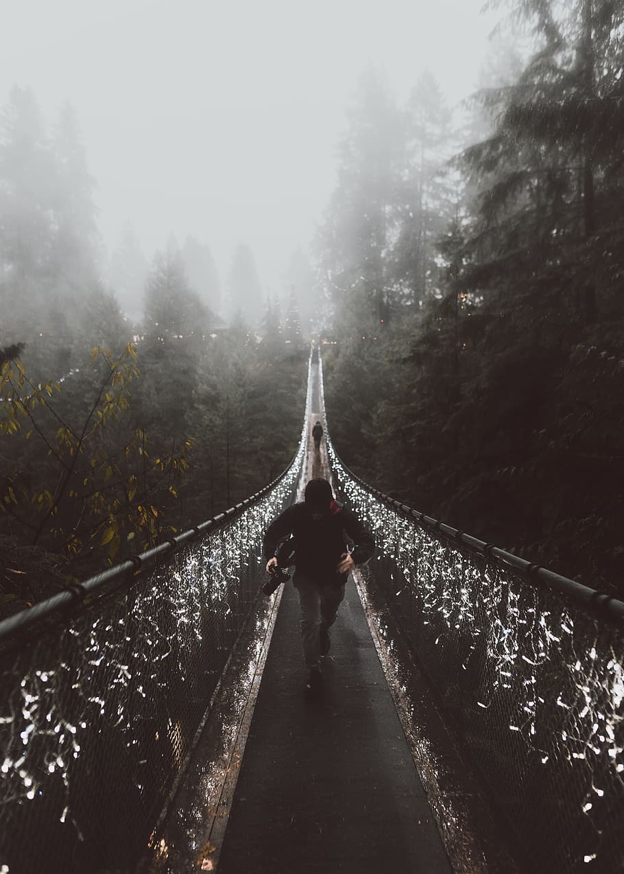 bridge, person, structure, architecture, light, tree, forest HD wallpaper