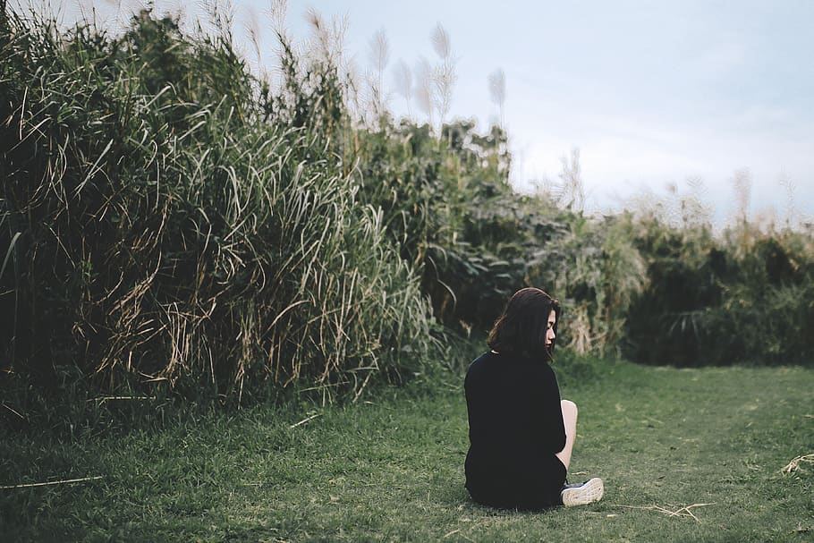 vietnam, hanoi, plant, grass, field, real people, land, one person HD wallpaper