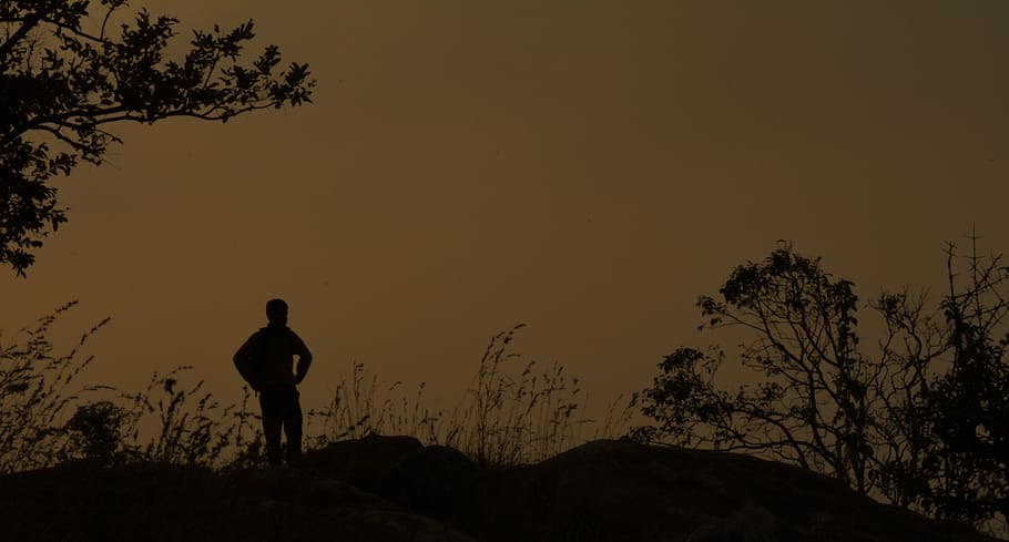 trek, adventure, explore, one person, silhouette, sky, tree HD wallpaper