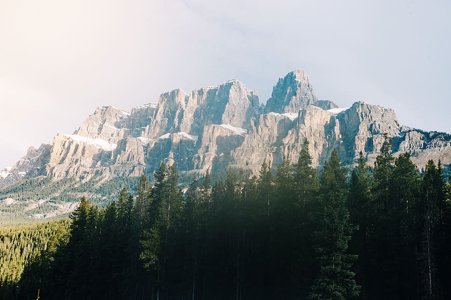 gray rock, nature, outdoors, crest, mountain, mountain range HD wallpaper