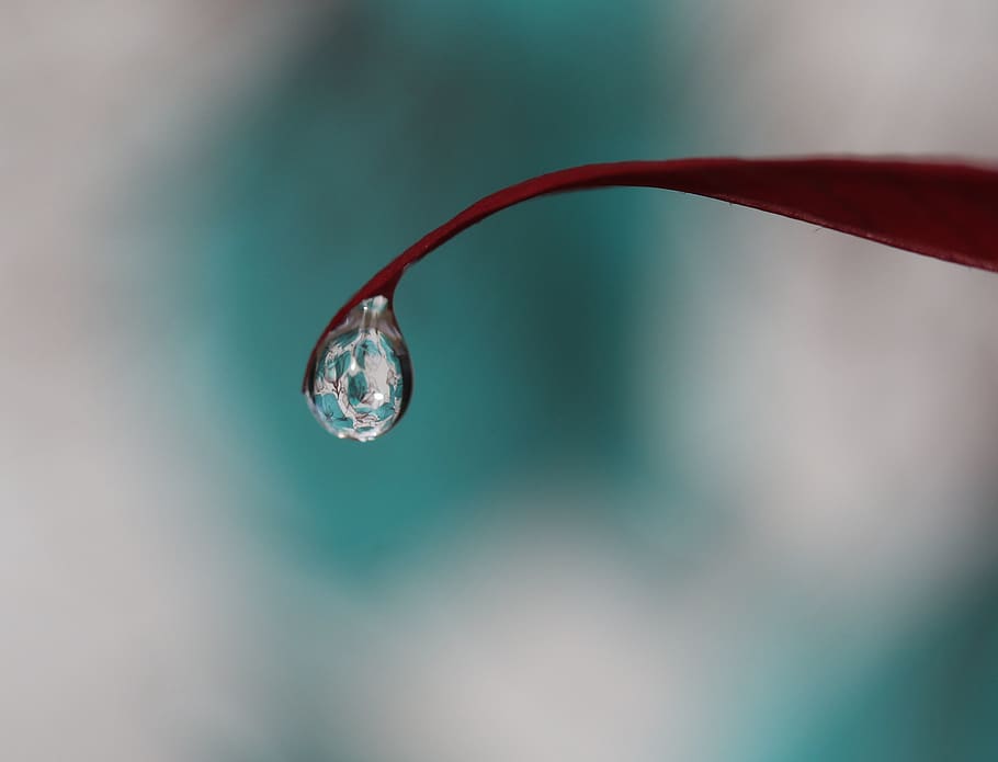 drop, water, macro, refractive, coloring, focus on foreground HD wallpaper