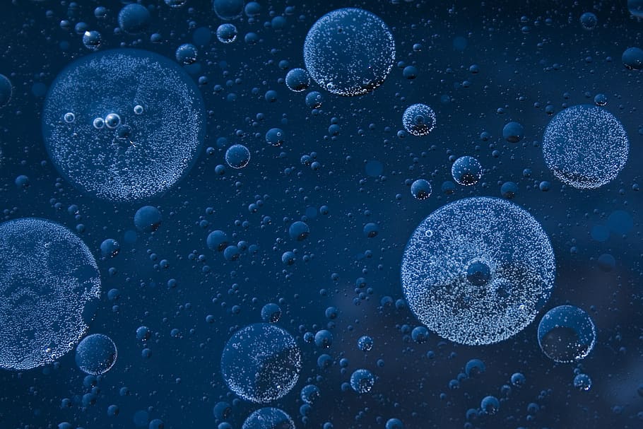 blue droplets wallpaper, water, bubble, animal, invertebrate, HD wallpaper