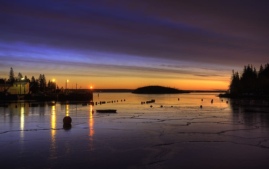 water, waterfront, nature, dock, pier, port, outdoors, bird HD wallpaper