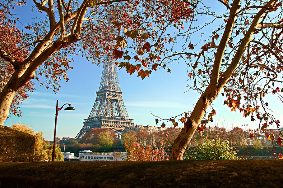 Eiffel Tower at Paris, built structure, tree, architecture, plant HD wallpaper