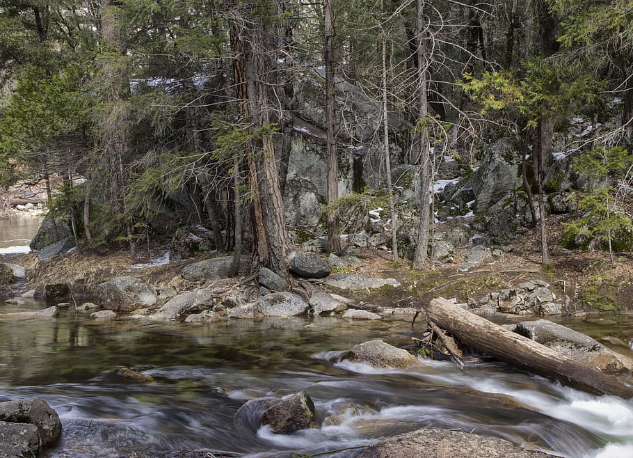 river near trees, water, nature, outdoors, stream, creek, ca HD wallpaper