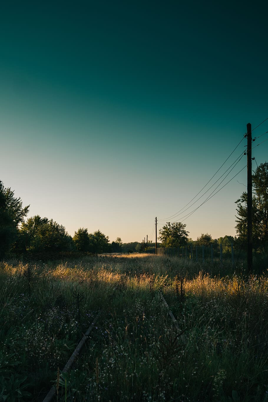 sky, field, plant, landscape, environment, clear sky, tranquil scene HD wallpaper