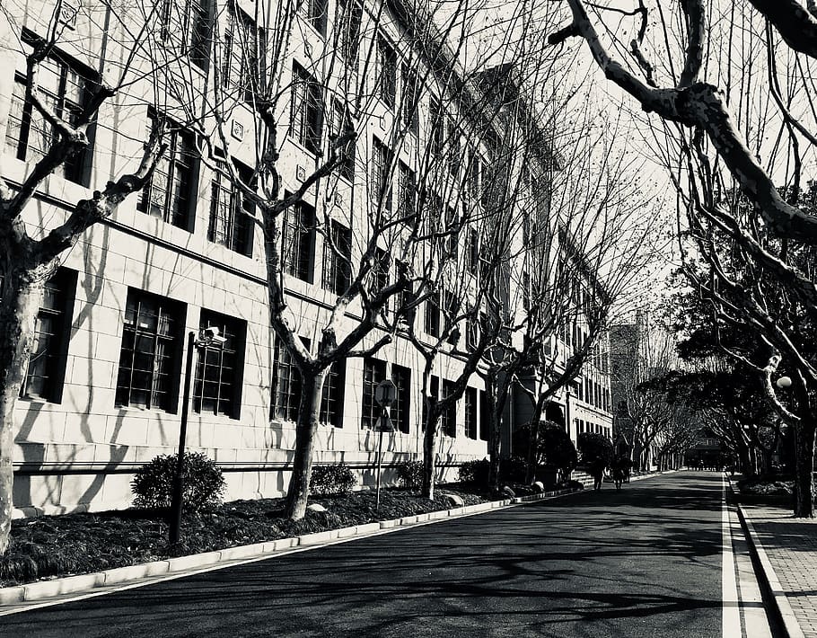 path, road, pedestrian, human, person, asphalt, tarmac, 288弄 huaihai w rd HD wallpaper