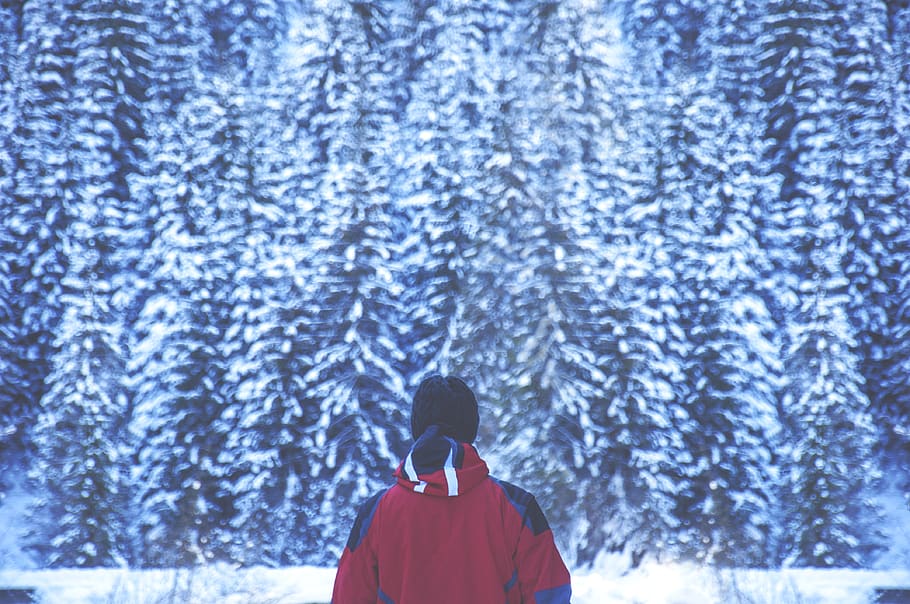 romania, human, trees, mountain, forest, winter, snow, cold temperature HD wallpaper