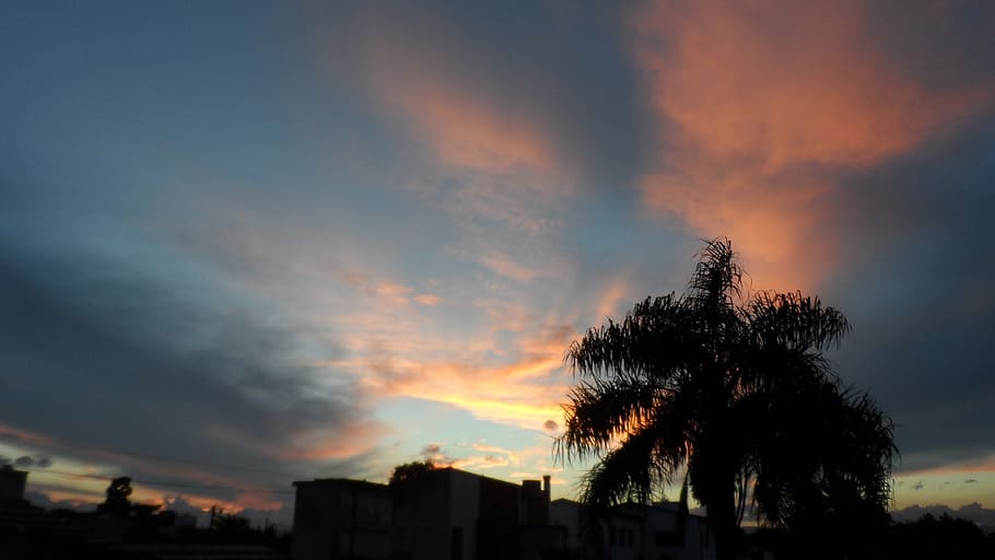 sky, cloud - sky, tree, sunset, plant, beauty in nature, architecture HD wallpaper