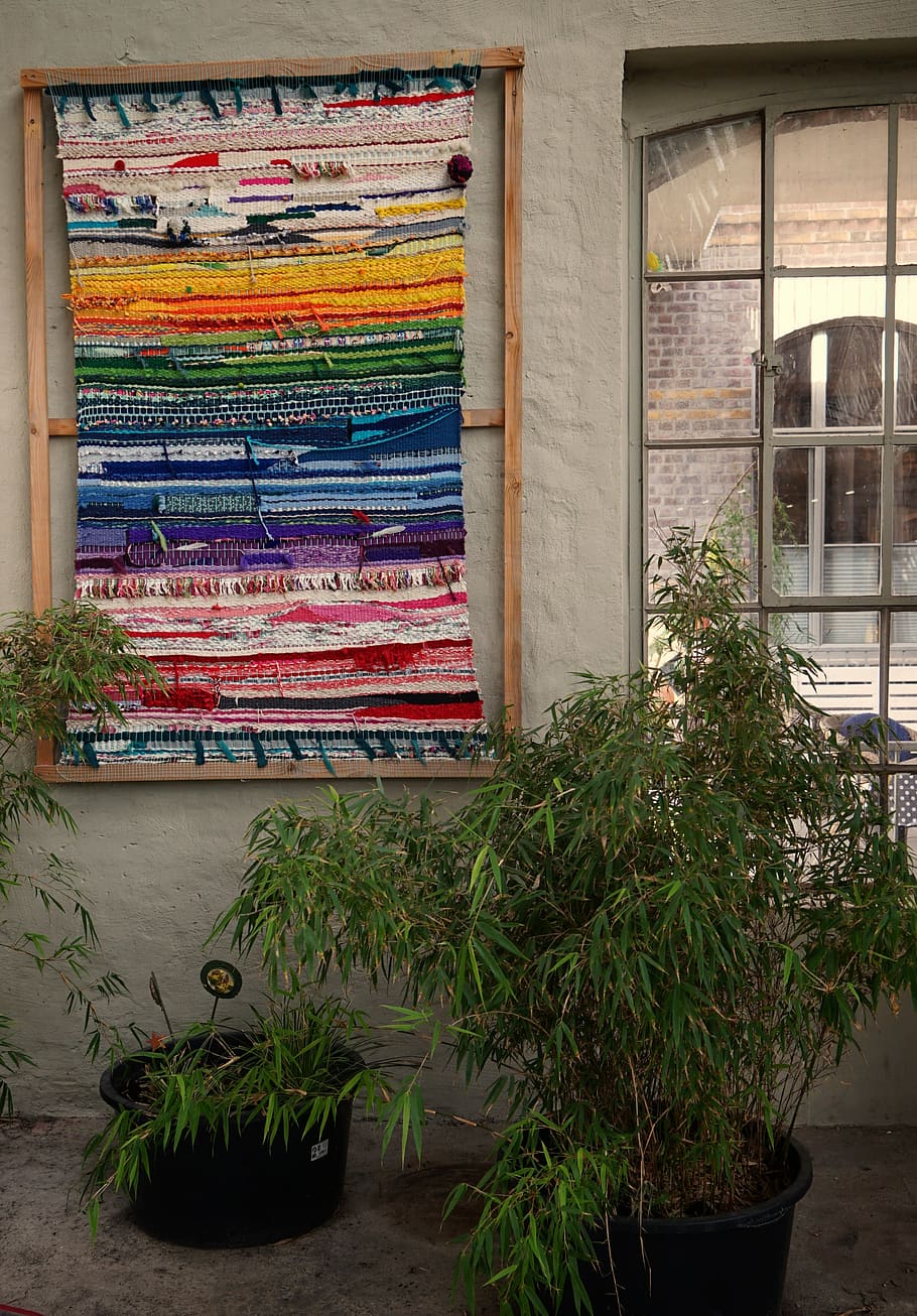 germany, krefeld, interior, window, loft, textil, green, plant HD wallpaper