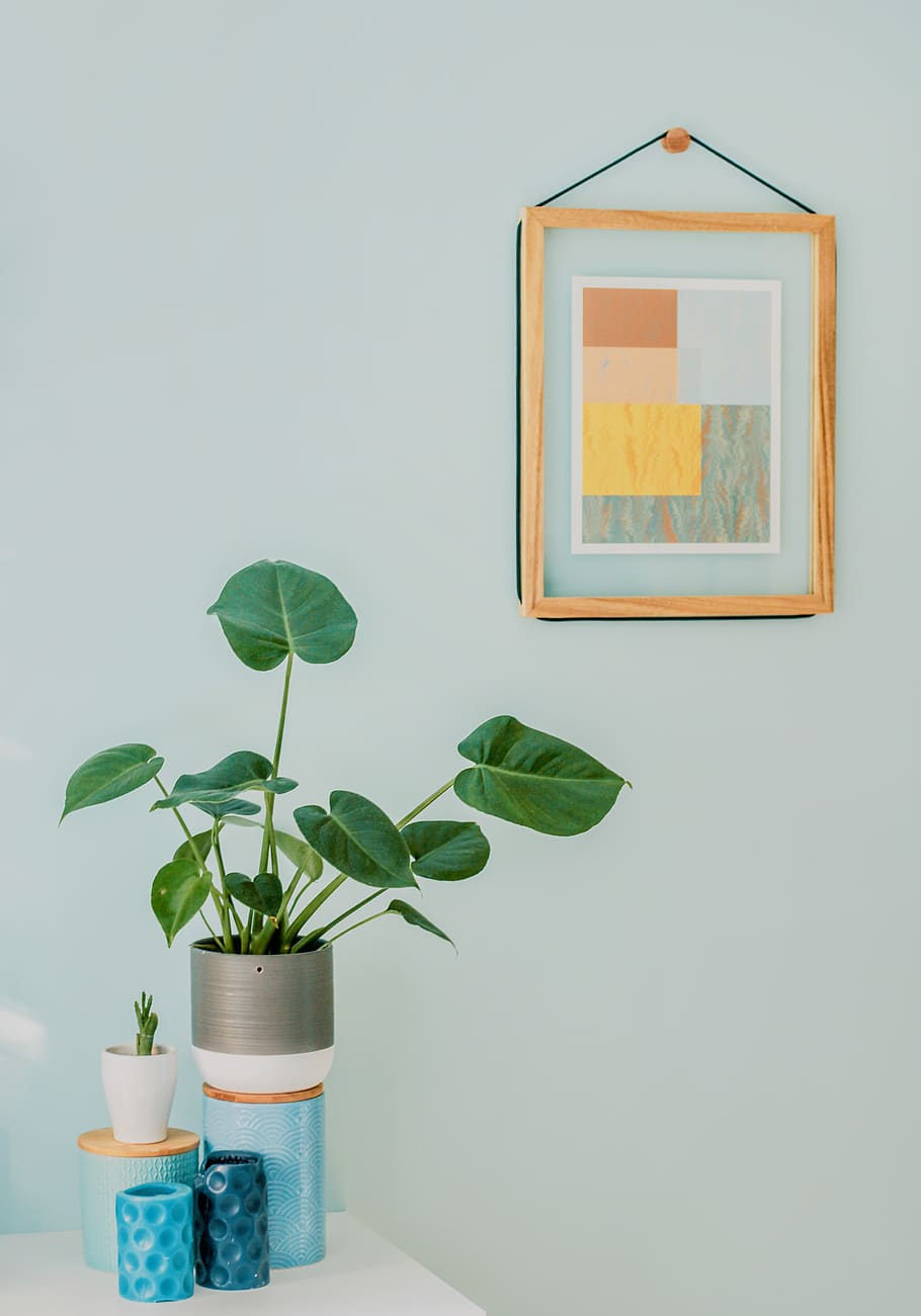 Orbicular Plant on Desk, candles, contemporary, decor, design HD wallpaper