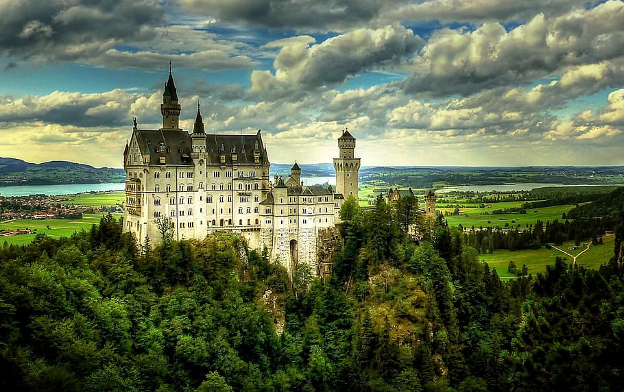 castle, old, swan, stone, nature, landscape, construction, architecture HD wallpaper