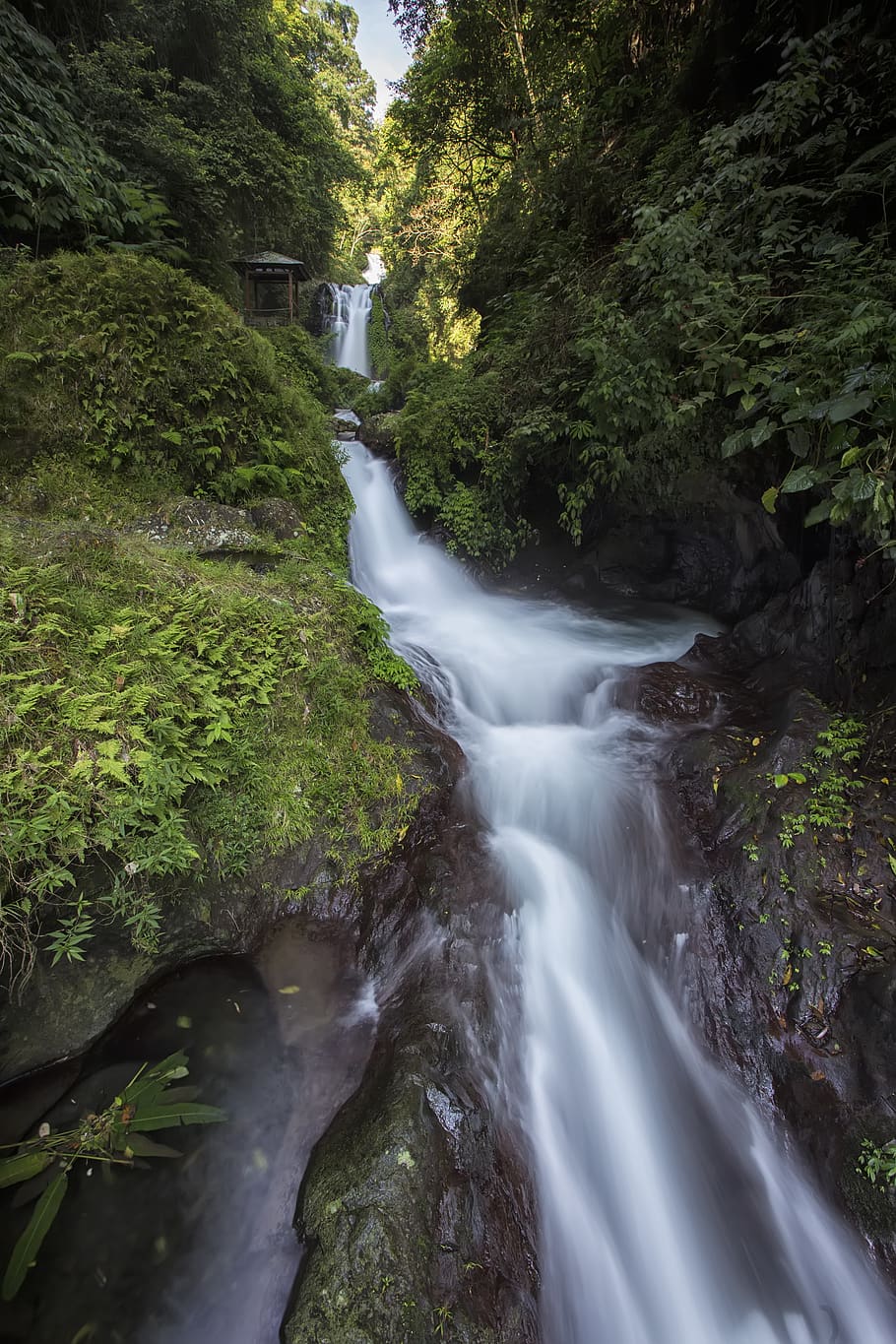 Water Falls Between Plant and Tree during Daytime in Time Lapse Photo HD wallpaper