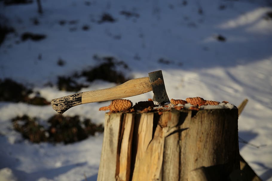 brown-handled ax on tree trunk, wood - material, focus on foreground HD wallpaper