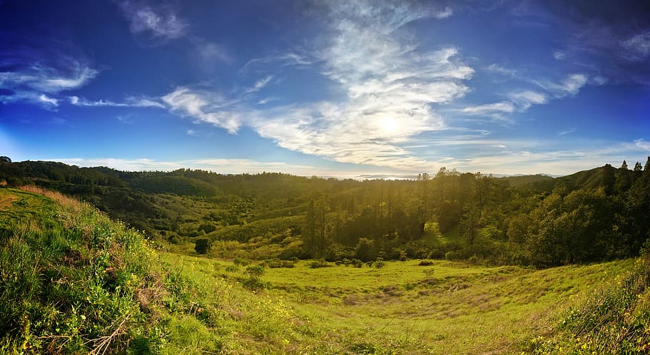 golden gate bridge, park, panorama, stitch, ptgui, iphone, sun HD wallpaper