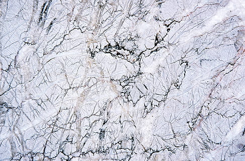plant, rock, marble, tree, texture, outdoors, granite, slope HD wallpaper
