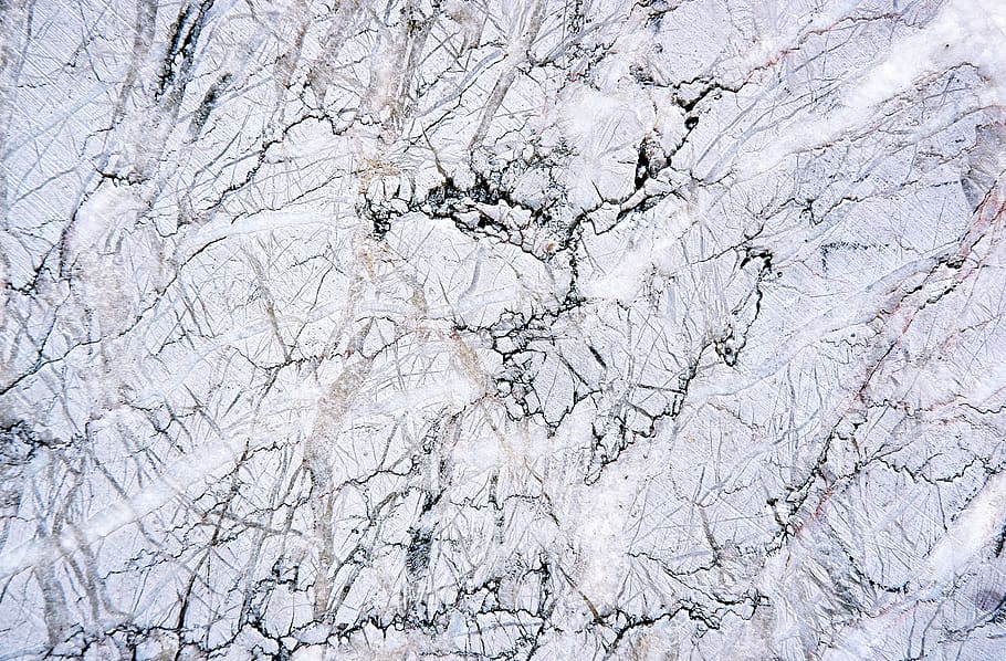 plant, rock, marble, tree, texture, outdoors, granite, slope HD wallpaper