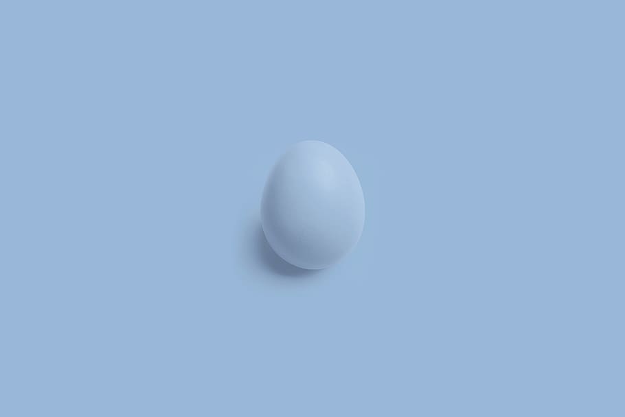 blue egg illustration, no people, copy space, studio shot, white color HD wallpaper