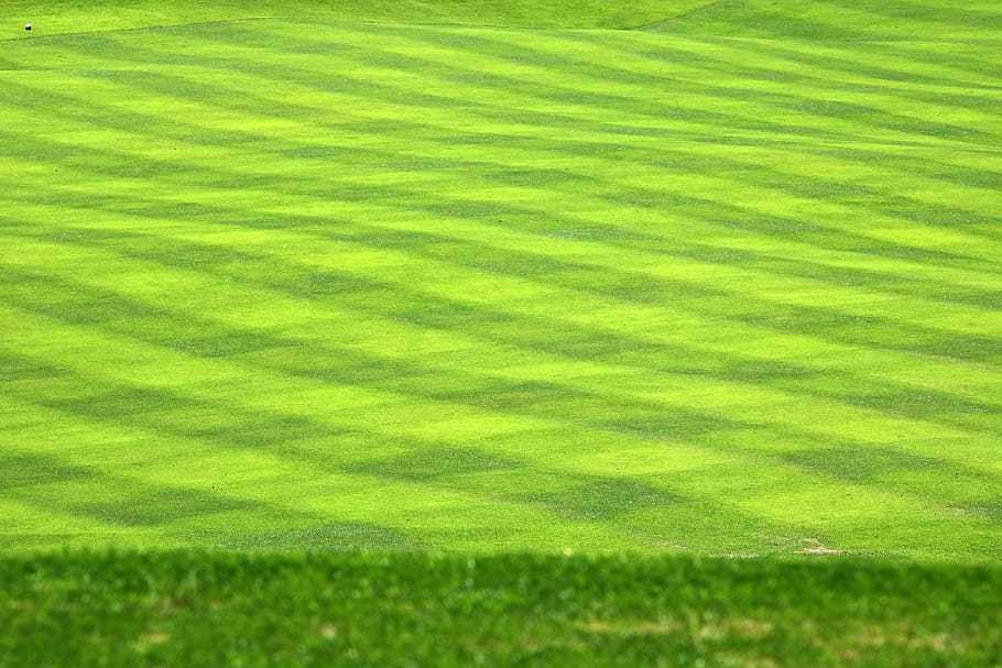 HD wallpaper: golf, golf course, grass, sport, green, golfers, field,  nature | Wallpaper Flare
