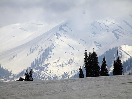 mountain, snow, white, trees, landscape, nature, gulmarg, india HD wallpaper