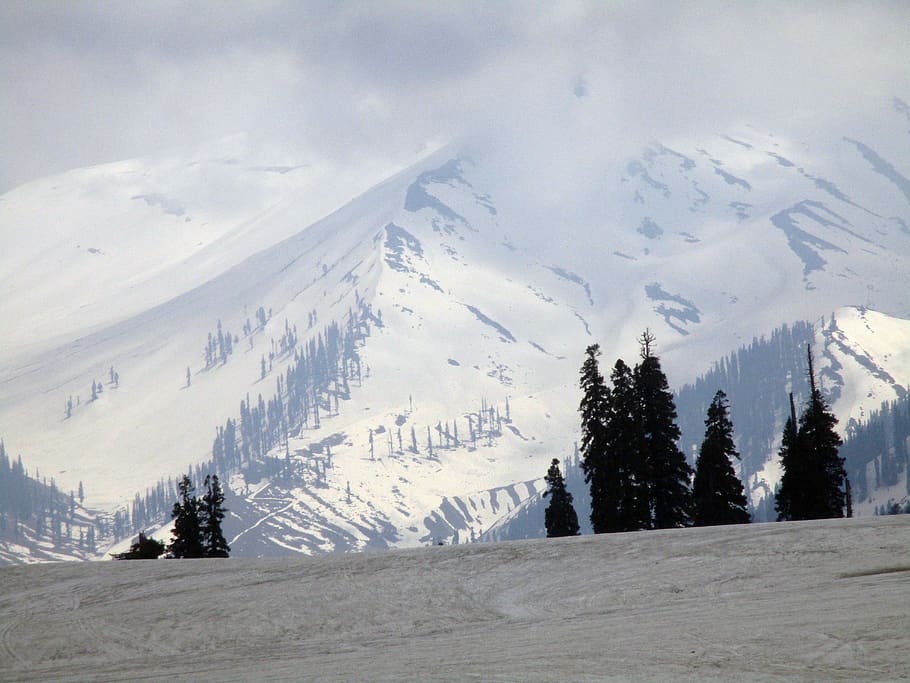 mountain, snow, white, trees, landscape, nature, gulmarg, india HD wallpaper