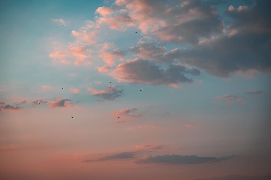 white clouds and blue sky, nature, outdoors, cumulus, weather HD wallpaper