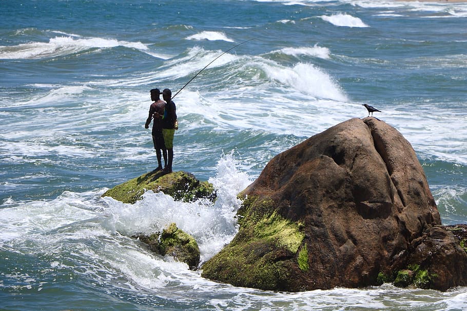 wave, bird, people, rocks, sea, water, motion, real people HD wallpaper