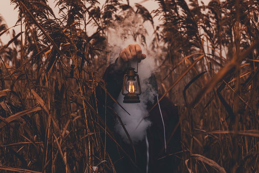 Person Holding Black Kerosene Lamp, colors, environment, flame HD wallpaper