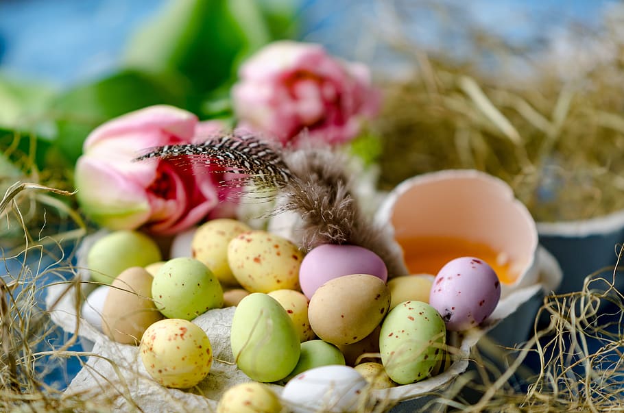 happy easter, easter eggs, lay eggs, chocolate egg, chocolate eggs HD wallpaper