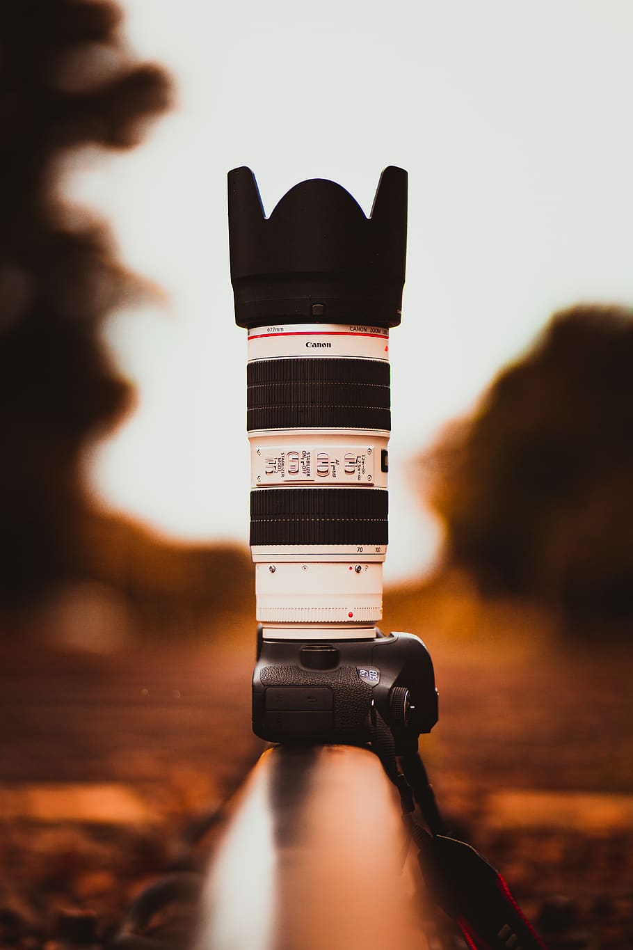 White and Black Canon Dslr Camera, action, focus, L lens, photography HD wallpaper