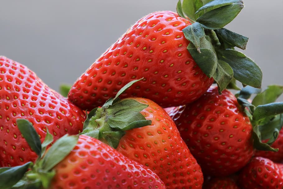 fruit, strawberries, bio, fresh, eat, delicious, vitamins, food HD wallpaper