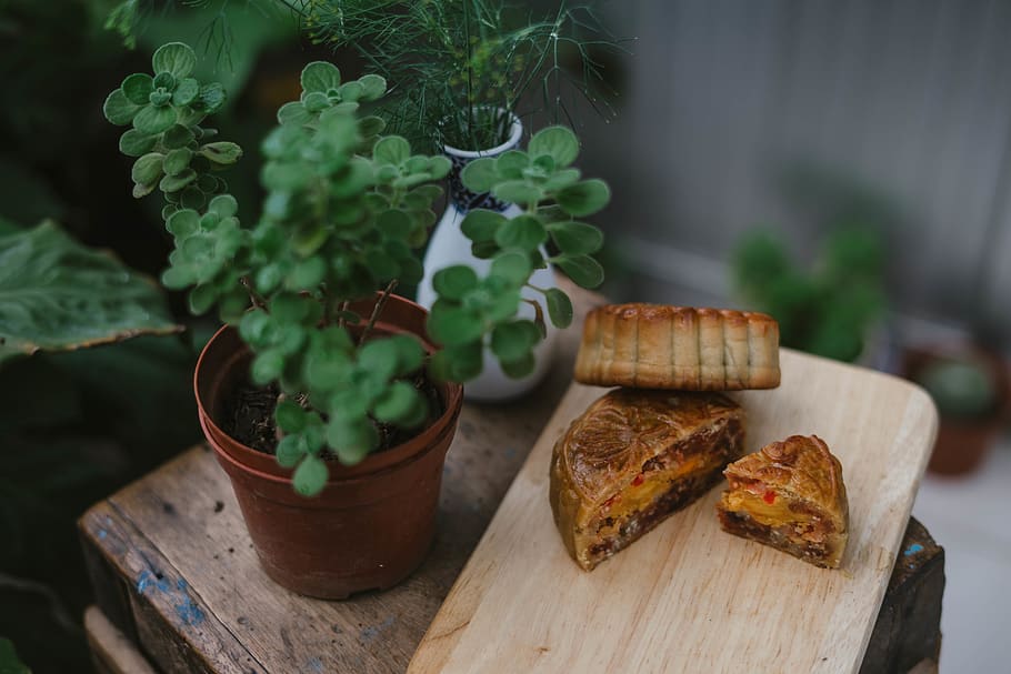 slice of breads, flora, jar, plant, pottery, potted plant, vase HD wallpaper
