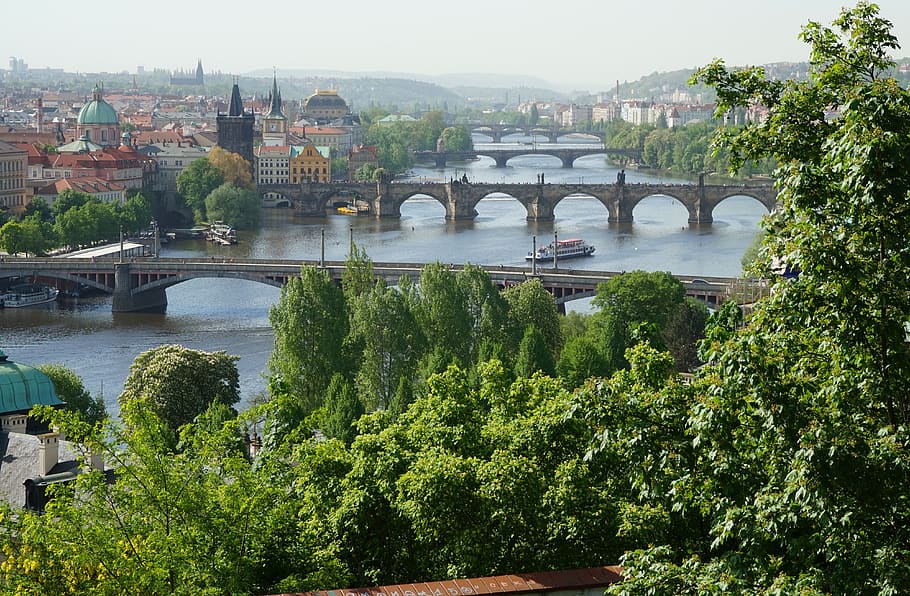 bridge, river, prague, czechia, city, cityscape, travel, water HD wallpaper