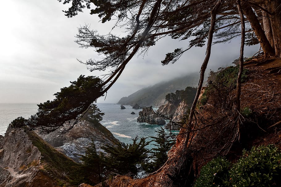 The fog is approaching, tree, coast, coastline, ocean, sea, horizon HD wallpaper