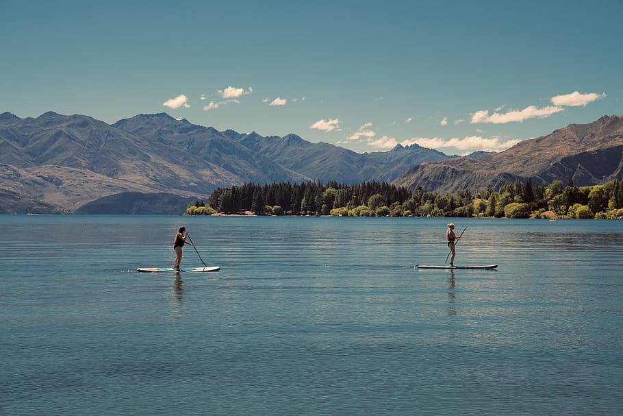 two person riding on paddle boards during daytime, outdoors, water