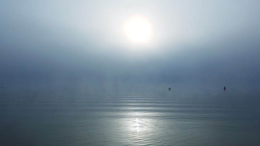 fog, sun, lake, mirroring, water, reflection, tranquility, sunlight HD wallpaper