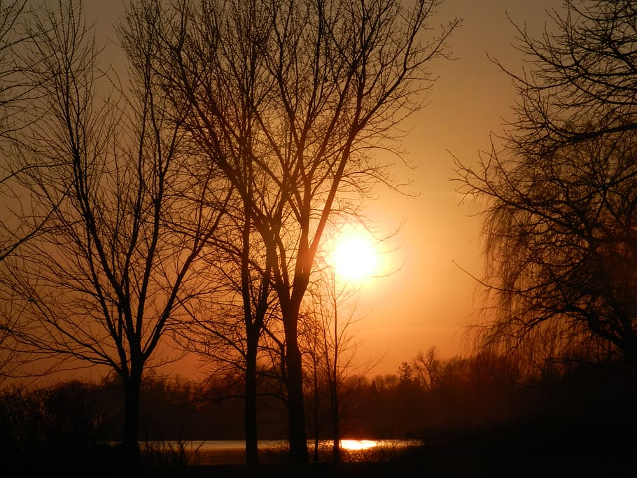 nature, outdoors, sky, sunset, dawn, dusk, red sky, sunlight HD wallpaper