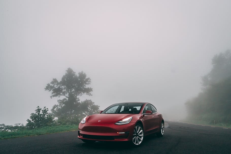 red car parked near trees during foggy weather, automobile, transportation