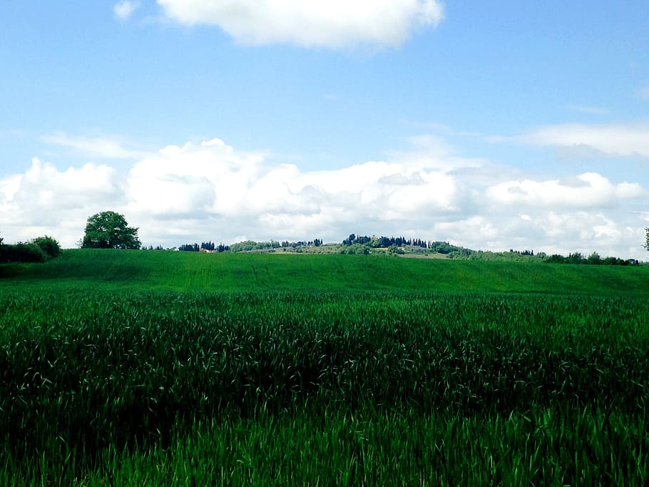 landscape, grass, horizon, cloud, sky, field, farm, lawn, meadow HD wallpaper