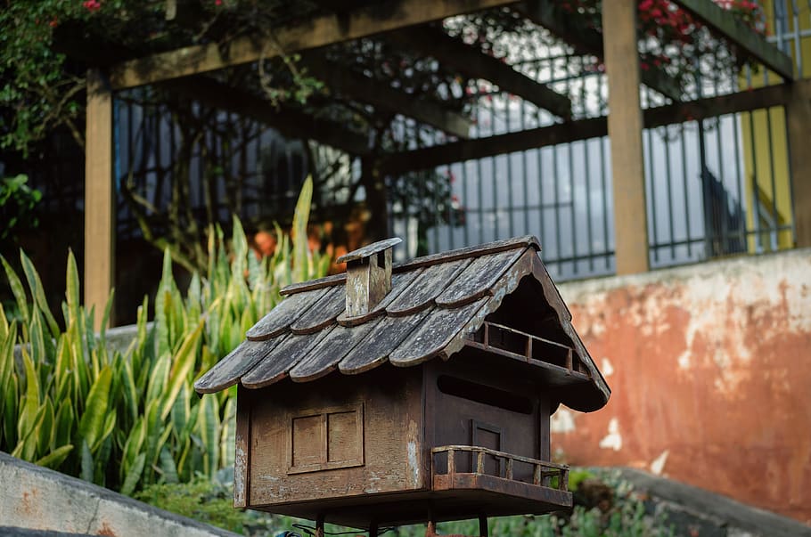 mailbox, house, mini, small, miniature, home, gardening, built structure HD wallpaper