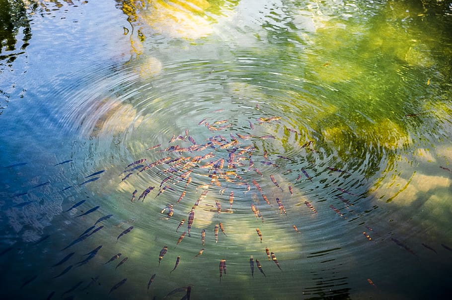 abstract, nature, water, reflection, art, bright, summer, image HD wallpaper