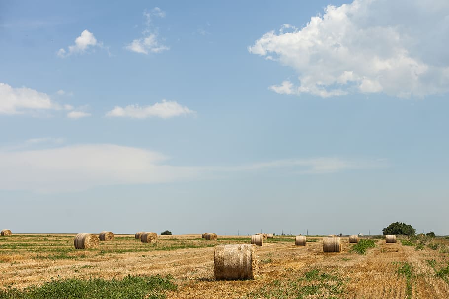 Hay Bales on the Field, background, clouds, cropland, daylight HD wallpaper