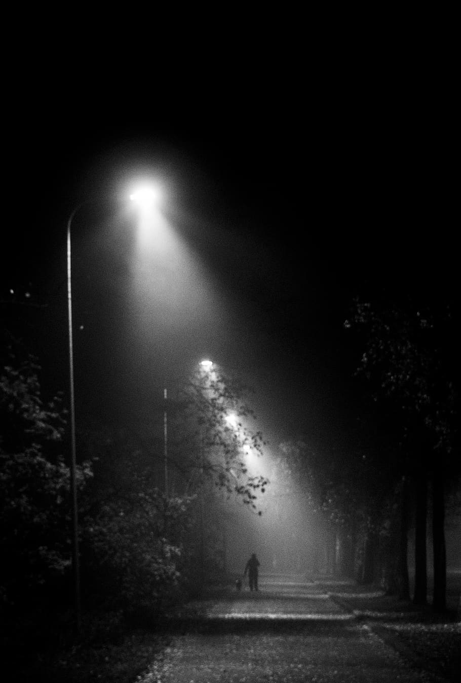 Street, night, fog, car, lights, HD phone wallpaper