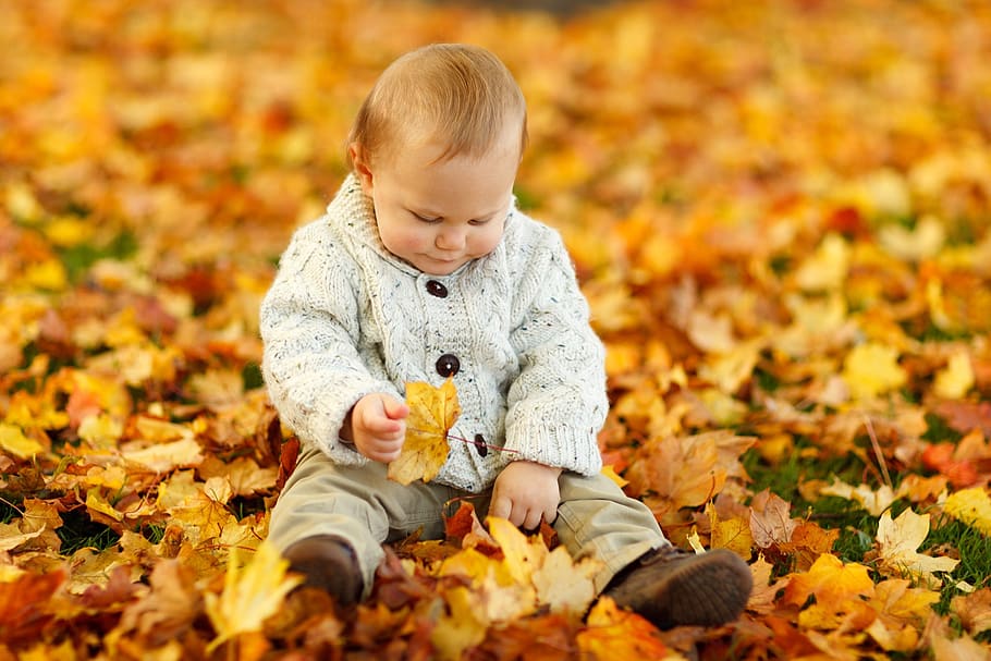 Display Autumn Fall Baby Boy Child, cute, kid, sit, sitting, toddler HD wallpaper
