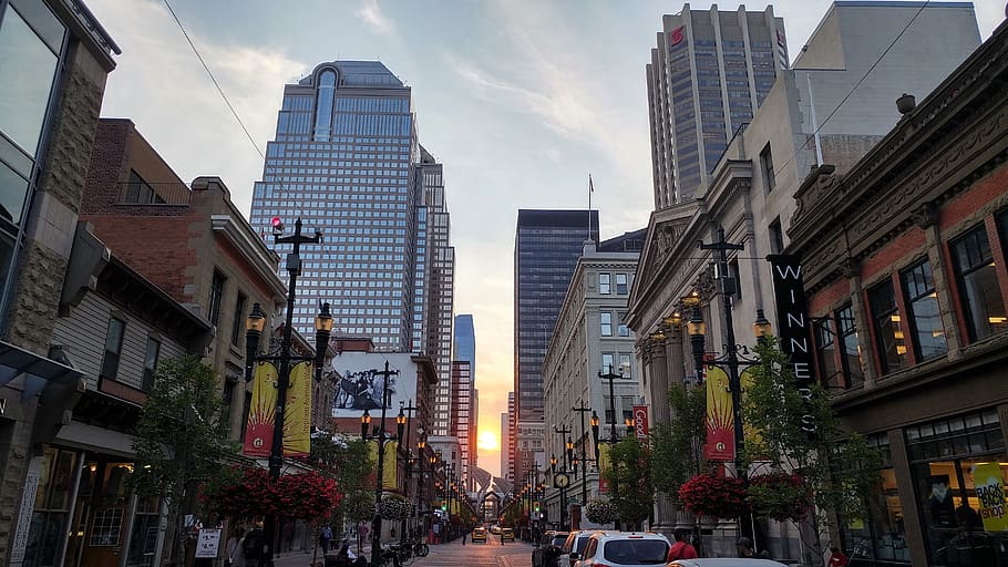calgary, sunset, pedestrian zone, canada, city, architecture HD wallpaper