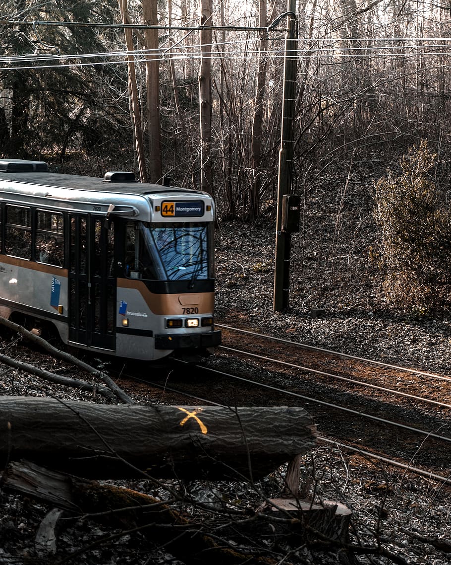 belgium, tervuren, tree, track, mode of transportation, railroad track HD wallpaper