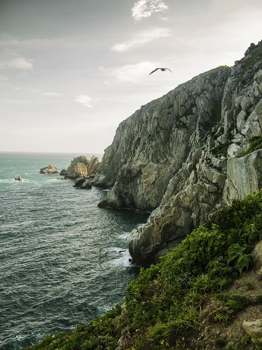 matsu, hill, stone, cliff, sea, rock, bird, eagle, landscape HD wallpaper