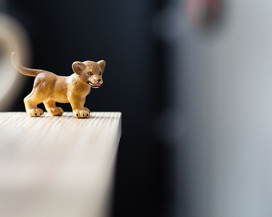 lion, pet, animation, predator, animals, mammal, animal themes HD wallpaper