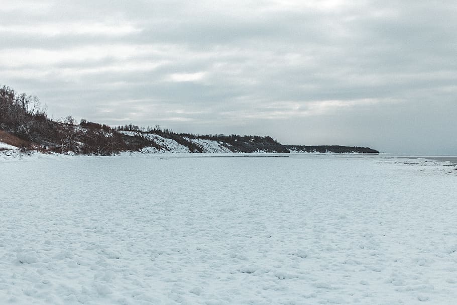 canada, goderich, snow, tree, beach, frozen, winter, cold temperature HD wallpaper