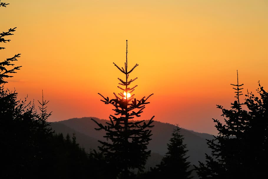sunset, solar, sky, nature, in the evening, forest, seven lakes HD wallpaper